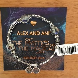 🖤 Alex and Ani Enchanted Winter Solace Bangle NWT